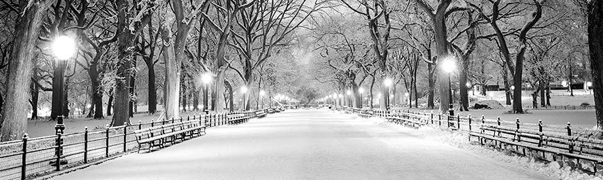 Winter Pictures by Wall Art Prints