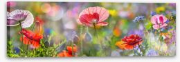 Spring meadow panorama Stretched Canvas 101499146