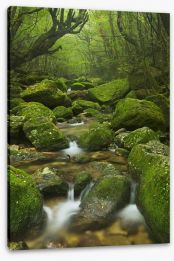 Wilderness waterfall Stretched Canvas 101691086