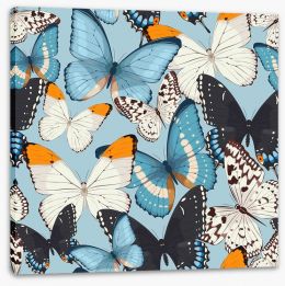 Butterflies Stretched Canvas 102246087