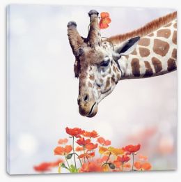 Animals Stretched Canvas 102330882