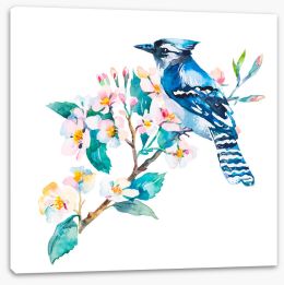 Birds Stretched Canvas 102456016