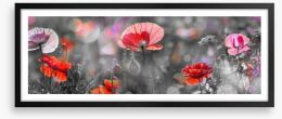 Spring poppy panoramic Framed Art Print 102542164