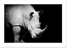 Rhino approaching Art Print 102585777