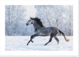 Galloping through the snow Art Print 103985525