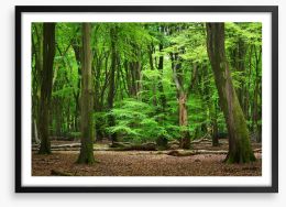 In the clearing Framed Art Print 104709262