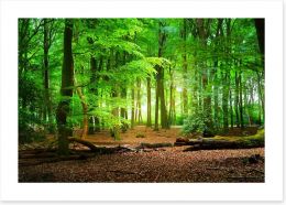 Forests Art Print 104709683