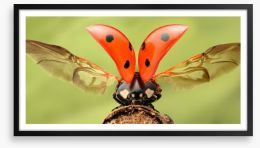 Insects Framed Art Print 104945102