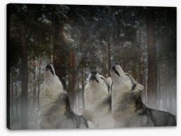 Howling at the moon Stretched Canvas 105191281