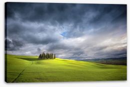 Meadows Stretched Canvas 105521312