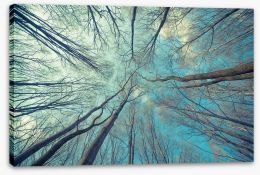 Trees Stretched Canvas 105884326