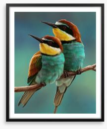 Bee-eater beauty Framed Art Print 105903413