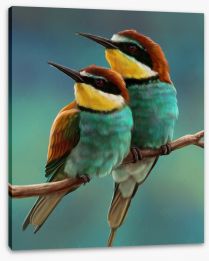 Birds Stretched Canvas 105903413