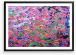 Neon fins Framed Art Print 107801809