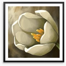 Tulip treat Framed Art Print 108017067
