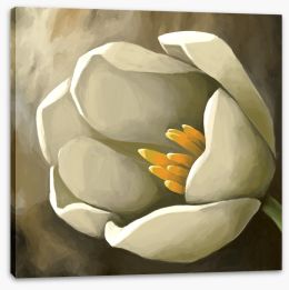 Floral Stretched Canvas 108017067
