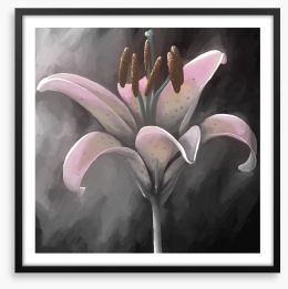 Lily delight Framed Art Print 108017835
