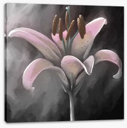 Floral Stretched Canvas 108017835