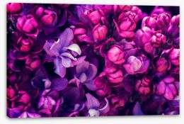Flowers Stretched Canvas 108289844