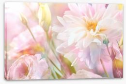 Peony perfection Stretched Canvas 108425137