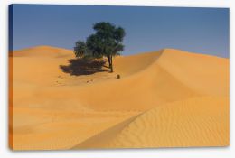 Desert Stretched Canvas 108792683