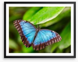 Butterflies Framed Art Print 109204137