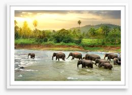 Elephant river Framed Art Print 109359410