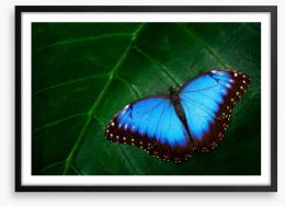 Butterflies Framed Art Print 109769993