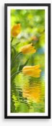 Yellow tulip ripples Framed Art Print 110956568