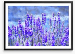 Lavender for luck Framed Art Print 111107595