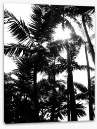 Palm silhouettes Stretched Canvas 111971810