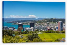 Wellington skyline Stretched Canvas 112438252