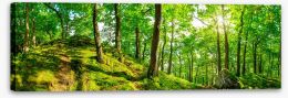 Forests Stretched Canvas 113247041