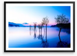 Trees in the water Framed Art Print 113714528