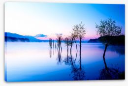 Trees in the water Stretched Canvas 113714528