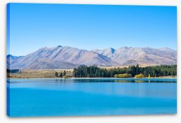 New Zealand Stretched Canvas 113799748