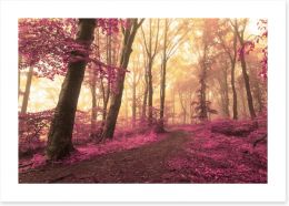 Forests Art Print 113945069