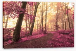 Forests Stretched Canvas 113945069
