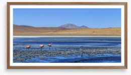 South America Framed Art Print 114328623