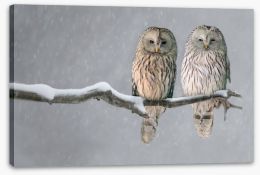 Together in the snow Stretched Canvas 114512559
