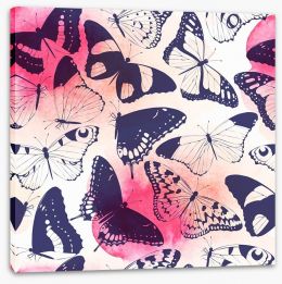Butterflies Stretched Canvas 115531283