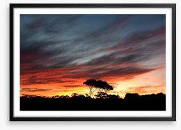 Sunset over the Australian bush Framed Art Print 116396419
