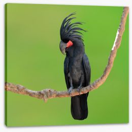 Birds Stretched Canvas 117784595