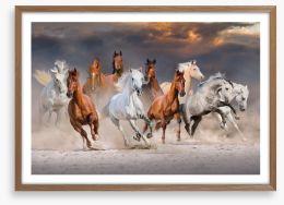 Sunset gallop Framed Art Print 118236051