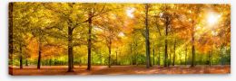 Leaves of fall Stretched Canvas 118933474