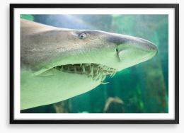 Shark face Framed Art Print 119079344