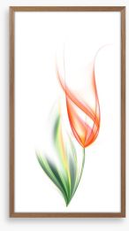 One orange tulip Framed Art Print 11945976