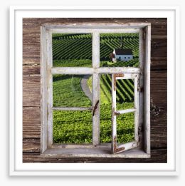 View of the vineyard Framed Art Print 120006169