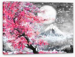 Sakura evening Stretched Canvas 120794247