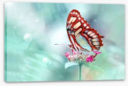 Insects Stretched Canvas 121395053